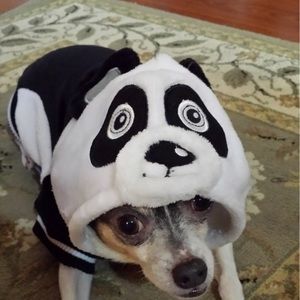 Meet your Posher, Roland